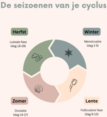 De seizoenen van je cyclus