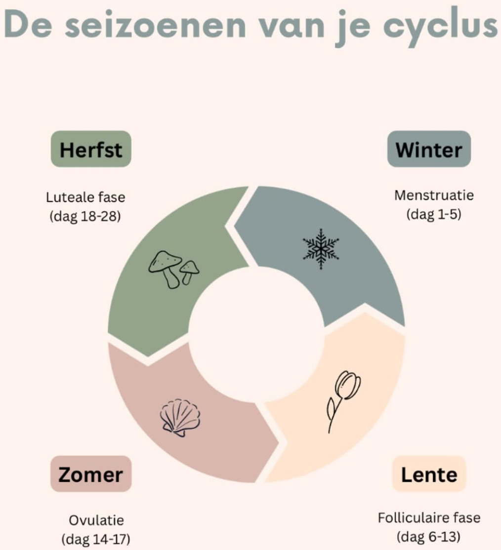 De seizoenen van je cyclus
