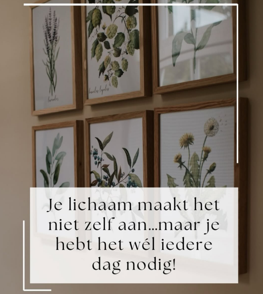 Je lichaam maakt het niet zelf aan, Maar je hebt het wel iedere dag nodig